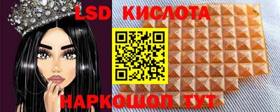 стаф Донецк