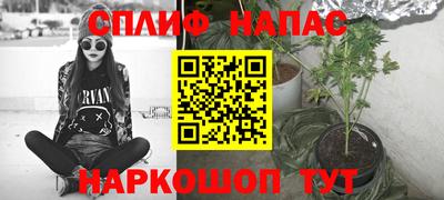 стаф Донецк