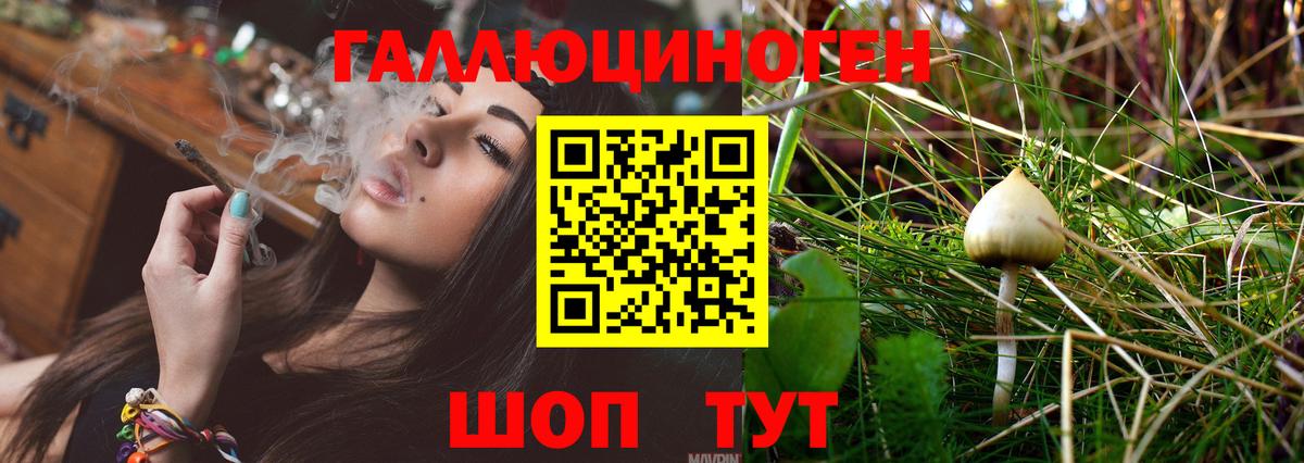 Псилоцибиновые грибы мухоморы  дарнет шоп  Ликино-Дулёво  Вход с VPN  Псилоцибиновые грибы Magic Shrooms 