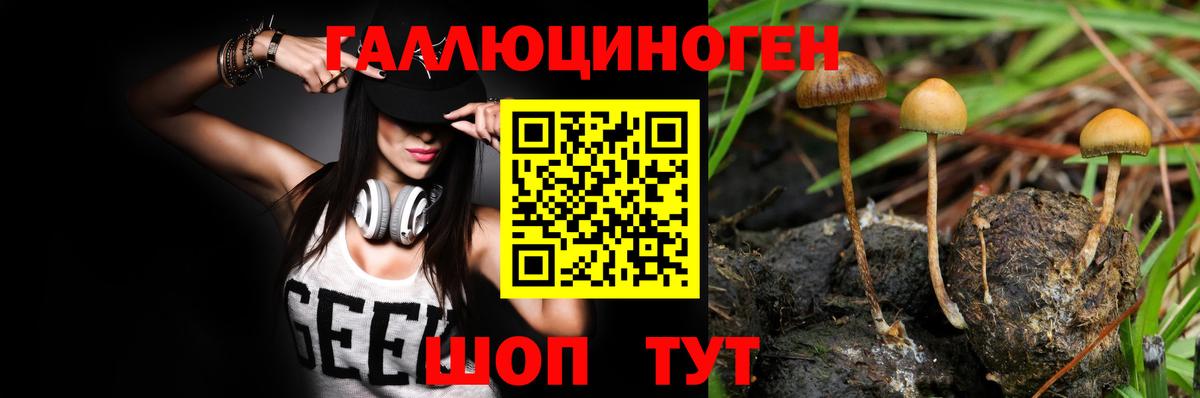 Псилоцибиновые грибы мицелий Ликино-Дулёво